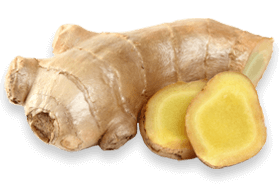 Fresh Ginger Root used in the Joint Genesis formula to support joint discomfort reduction.