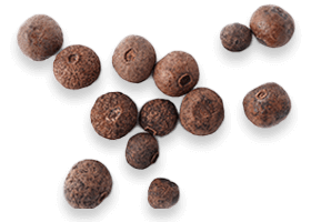 BioPerine black pepper extract to enhance nutrient absorption in Joint Genesis capsules.